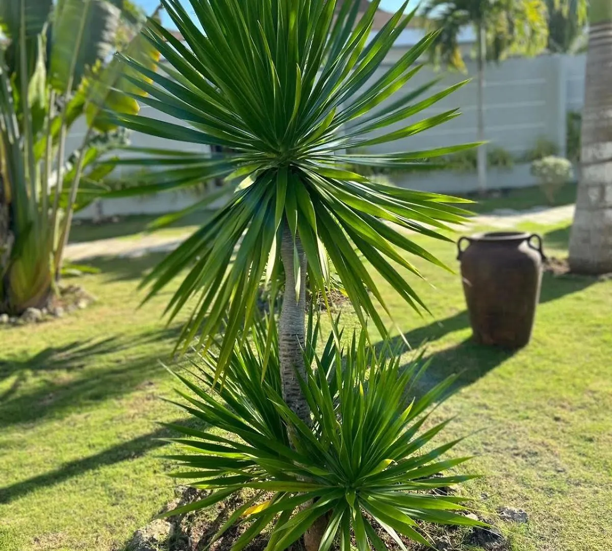 Pineale Villas, Resort And Spa Panglao